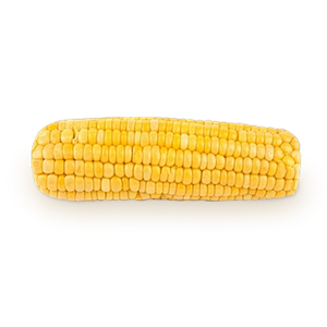 Corn PNG image-5282